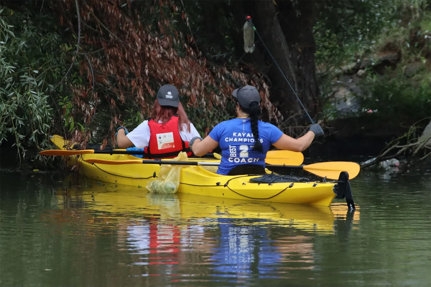 Ecologizări de ape curgătoare