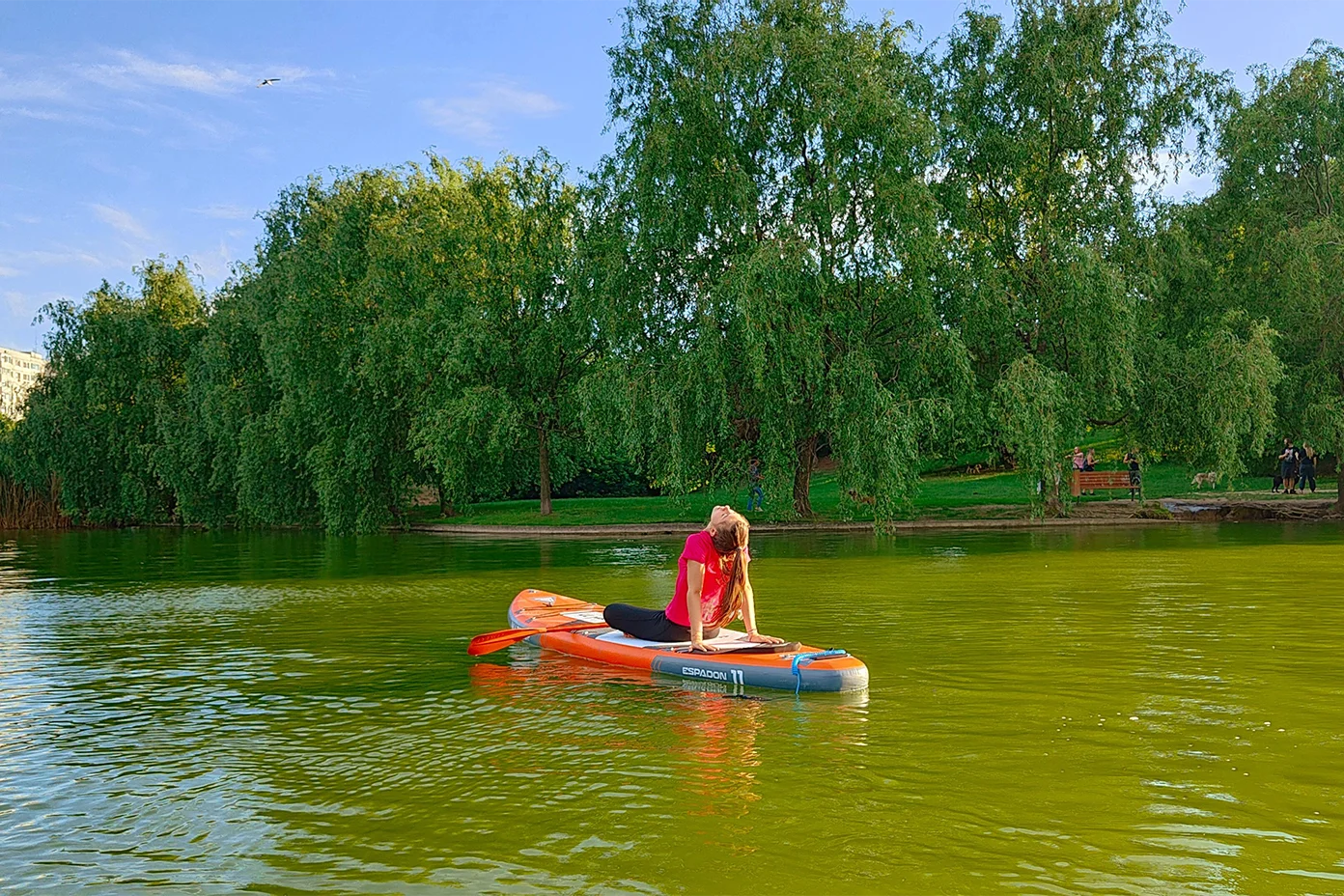 Yoga pe Stand up paddle