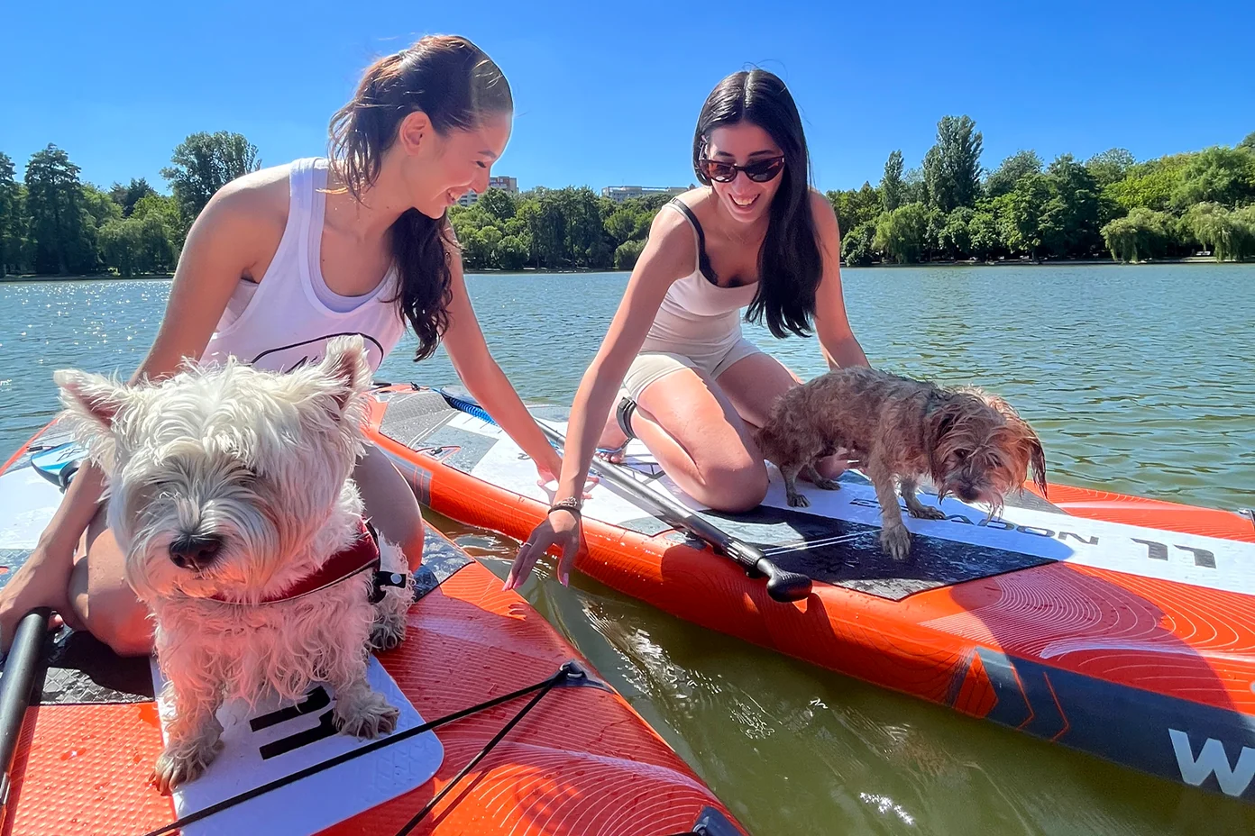 Tură de Stand up paddle pe Comana