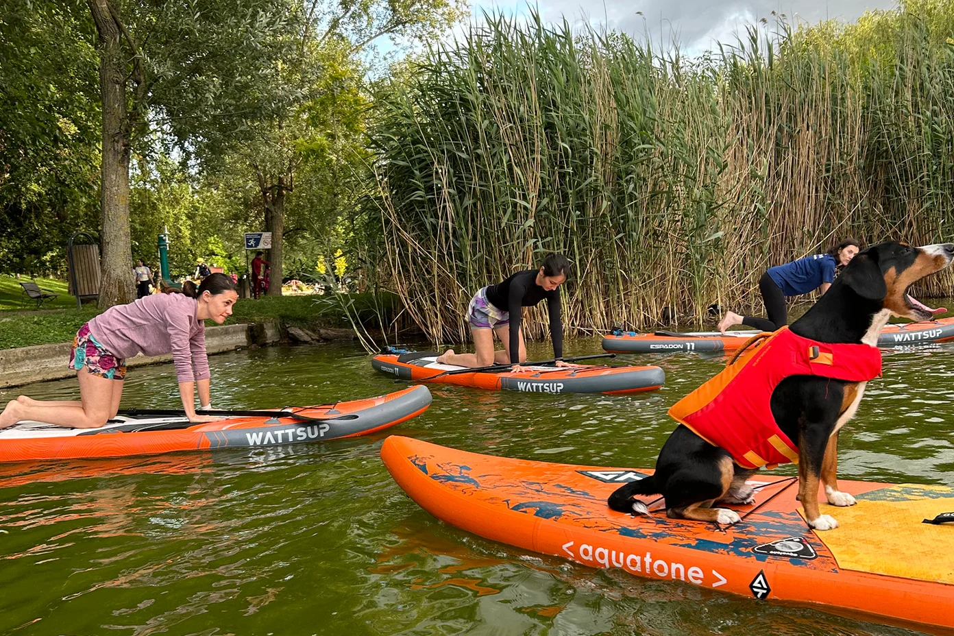 Yoga pe Stand up paddle