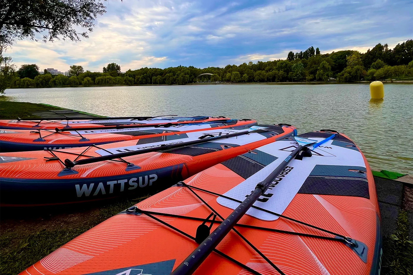Tură de Stand up paddle pe Comana
