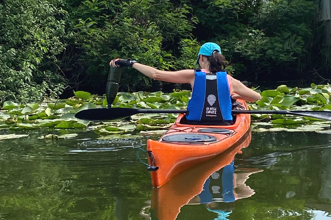 Ecologizări de ape curgătoare