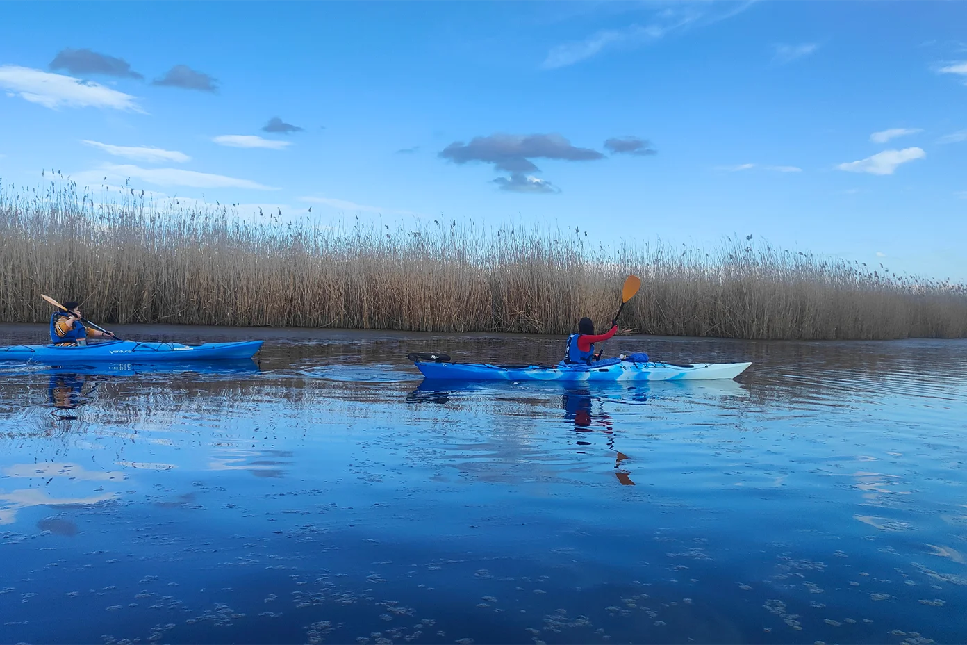 Tură de Caiac pe Comana
