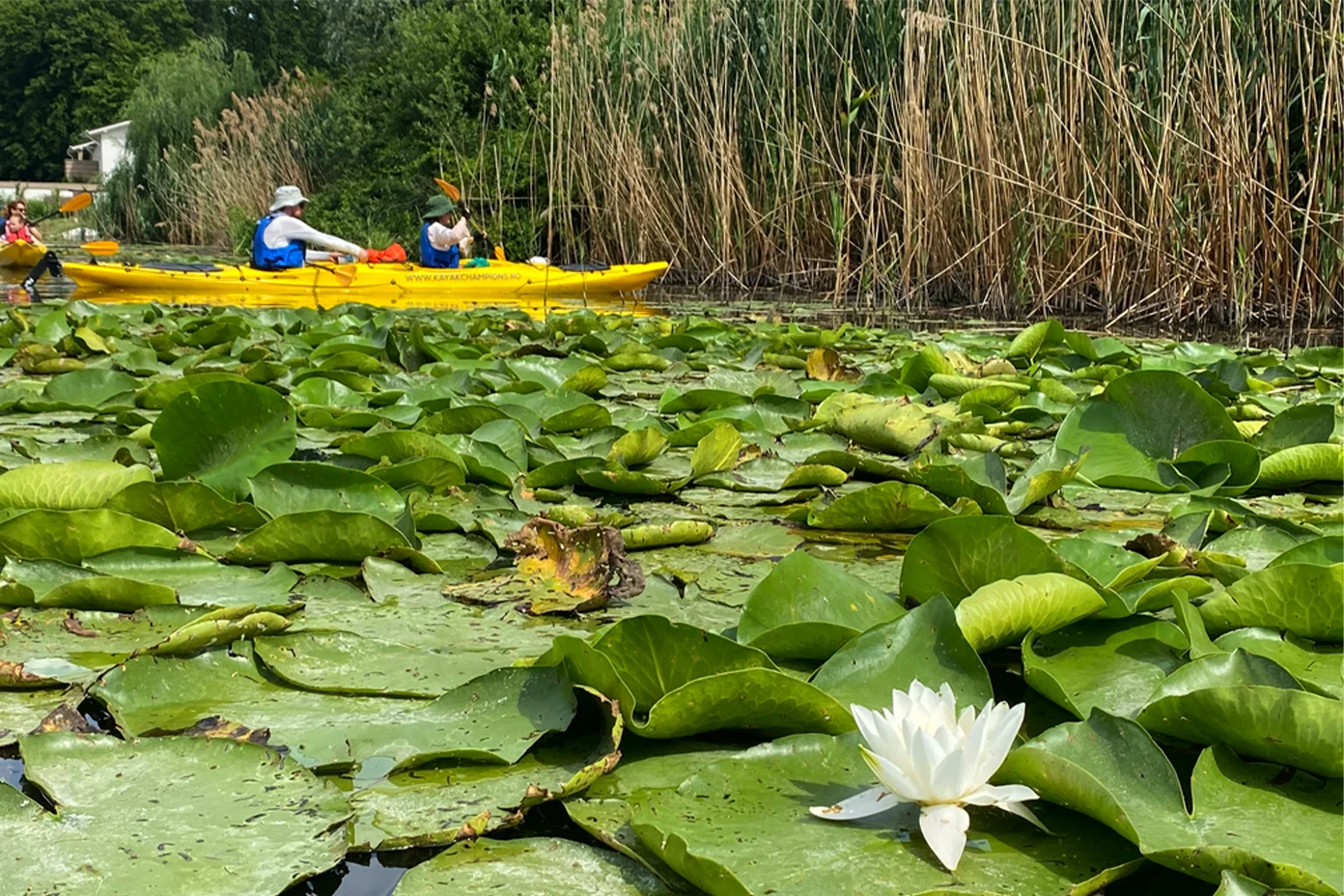Tură de Caiac pe Lacul Snagov