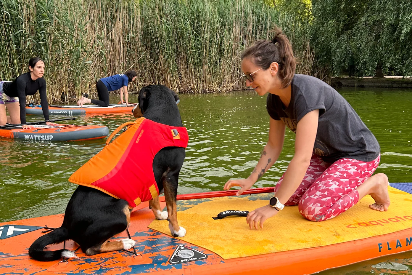 Yoga pe Stand up paddle