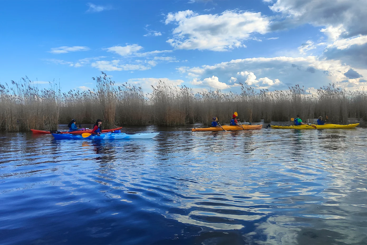 Tură de Caiac pe Comana