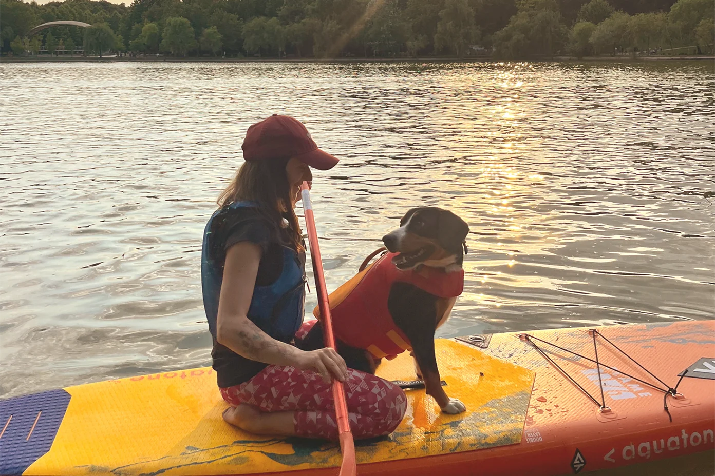 Tură de Stand up paddle pe Comana