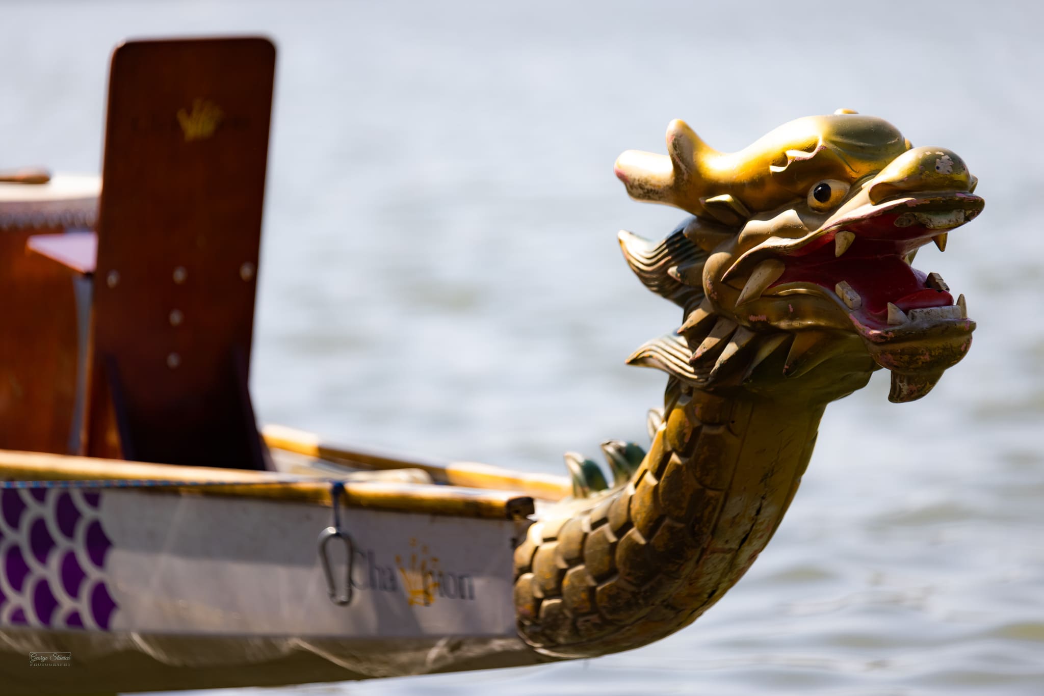 Școala altfel în dragon boat