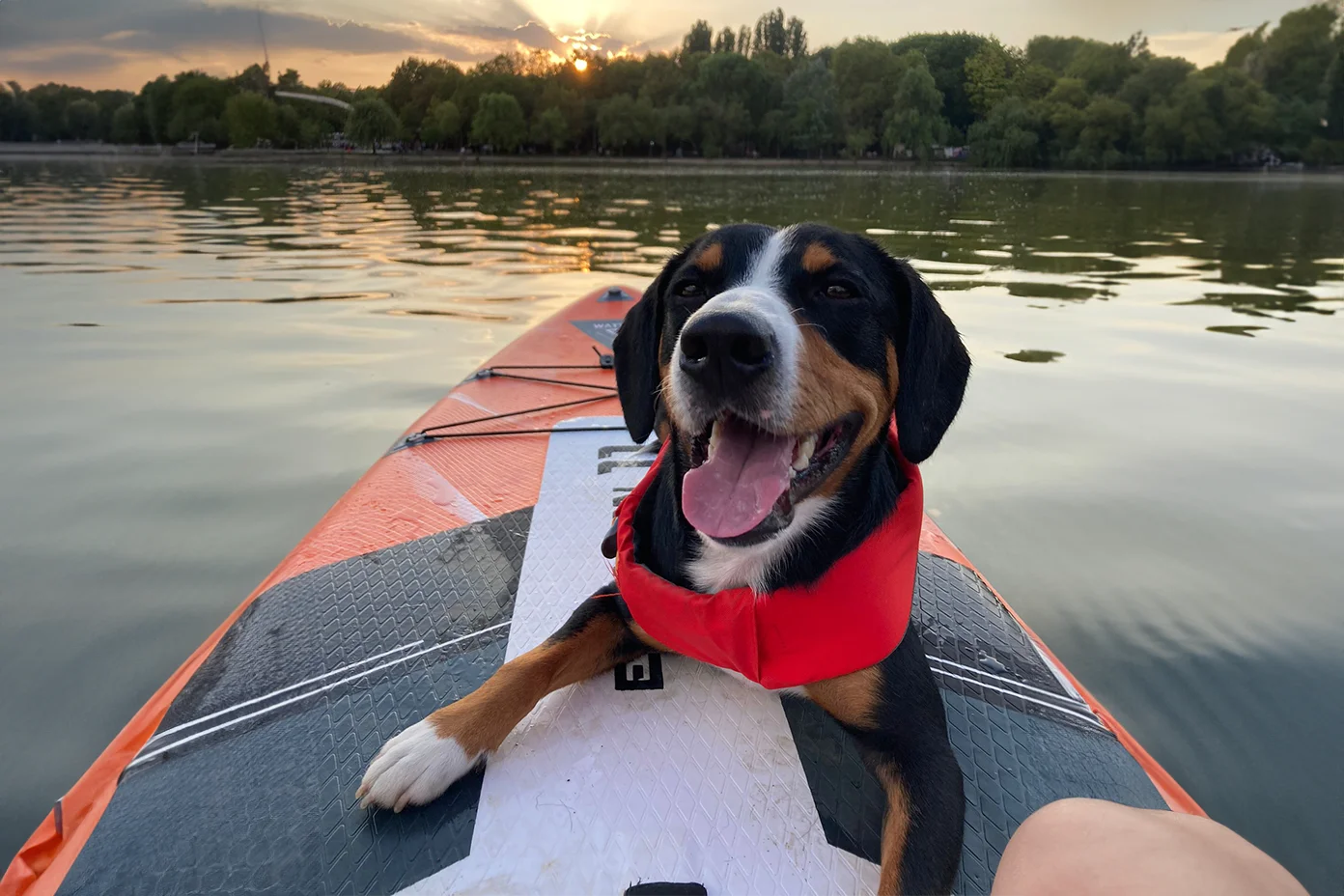 Tură de Stand up paddle pe Lacul Vidraru