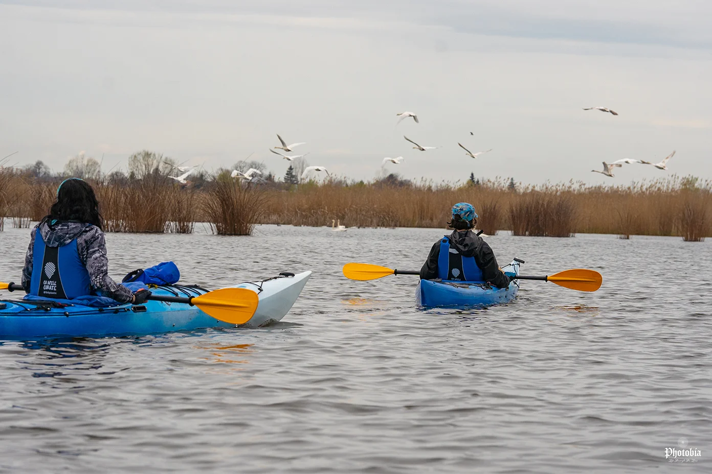 Tură de Caiac pe Comana