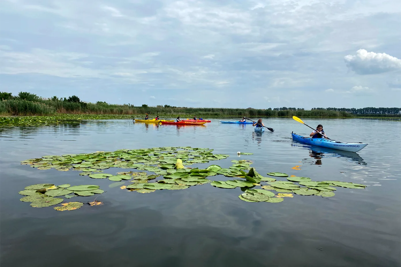 Tură de Caiac pe Lacul Snagov